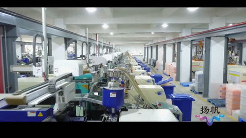 生態科技新城 組建專班精準服務，扶持企業做大做強信息技術咨詢服務